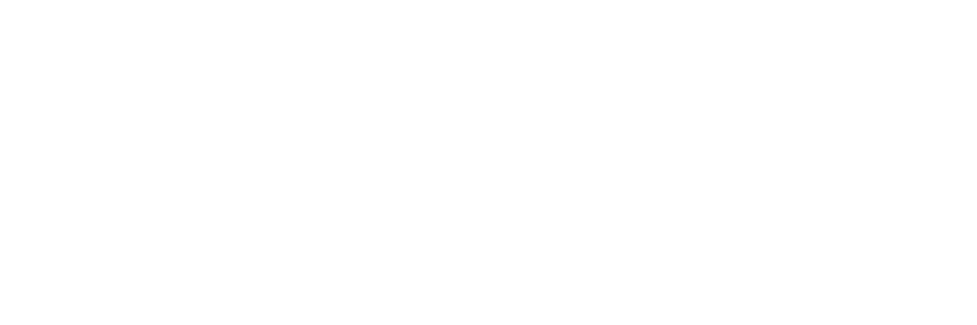 SHINAGAWACC WILDCATS.EXE